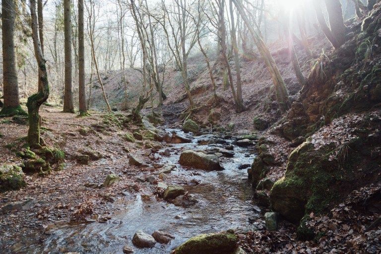 02152017 Belgium IV_7733