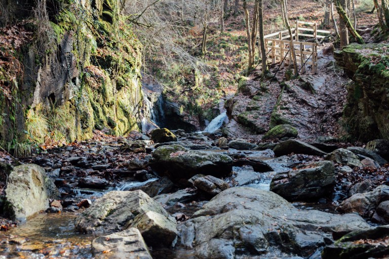 02152017 Belgium IV_7739