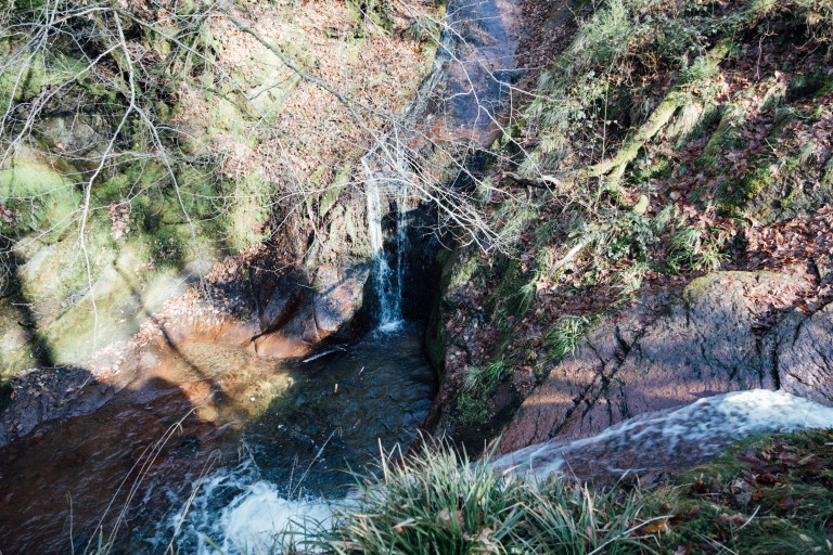 02152017 Belgium IV_7741