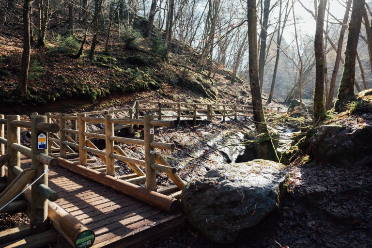 02152017 Belgium IV_7743