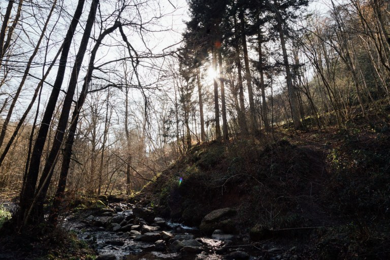 02152017 Belgium IV_7754