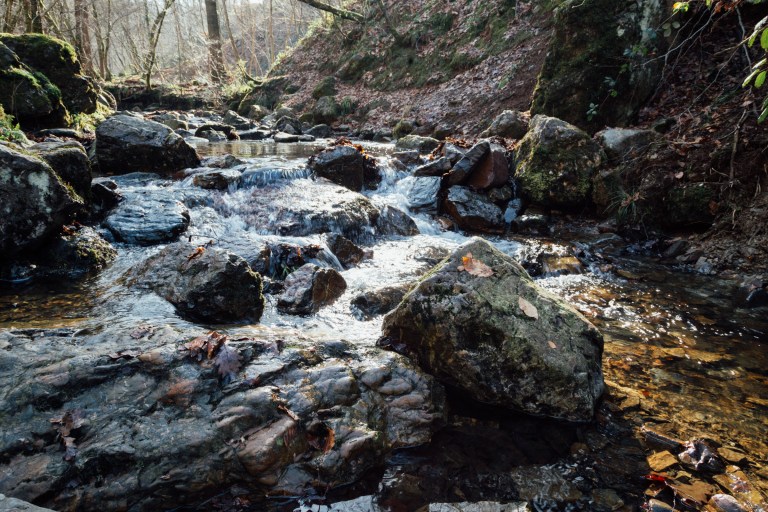 02152017 Belgium IV_7757