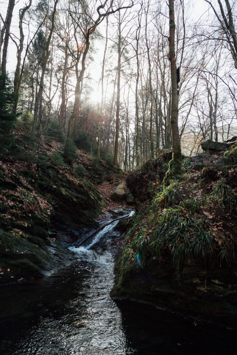 02152017 Belgium IV_7792