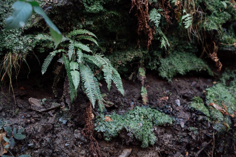 02152017 Belgium IV_7829