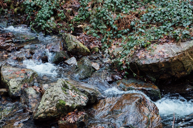 02152017 Belgium IV_7845