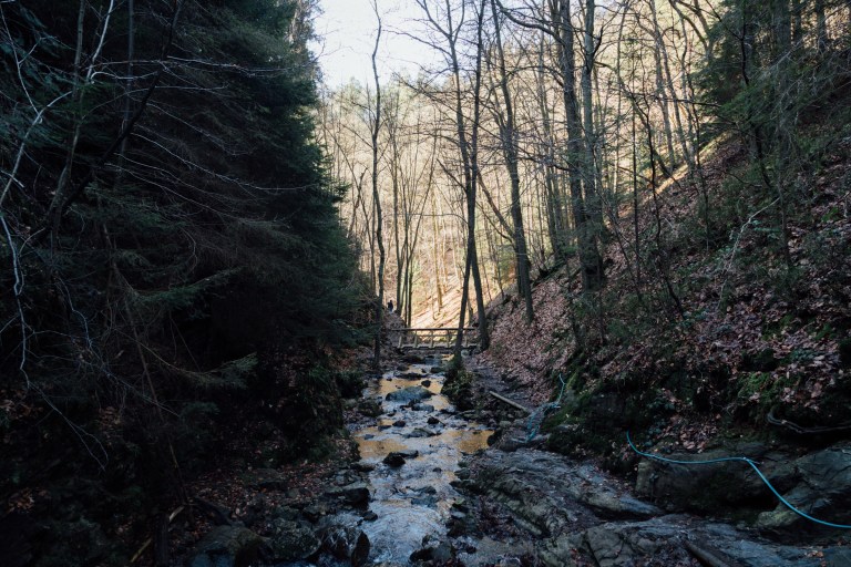 02152017 Belgium IV_7871