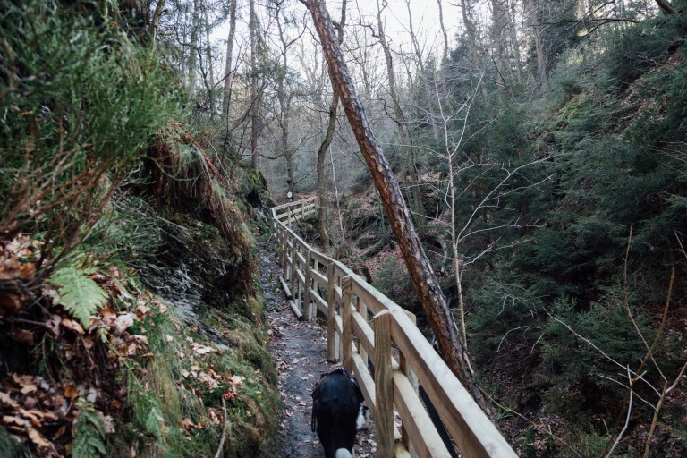 02152017 Belgium IV_7884