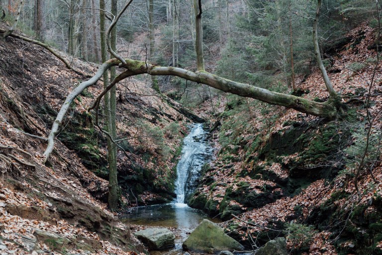 02152017 Belgium IV_7890