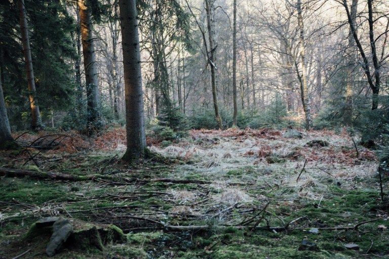 02152017 Belgium IV_7901