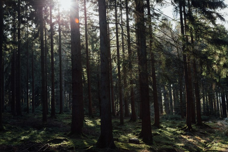 02152017 Belgium IV_7903