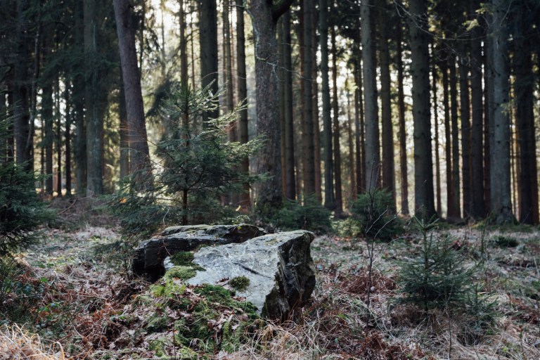 02152017 Belgium IV_7909