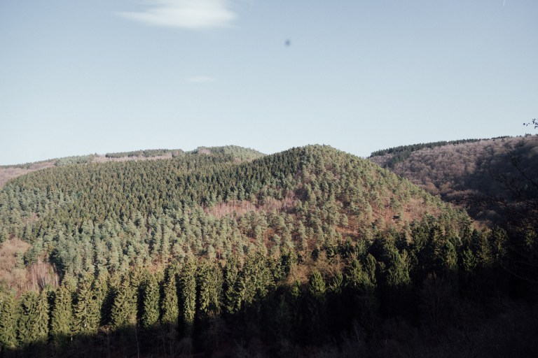 02152017 Belgium IV_7913