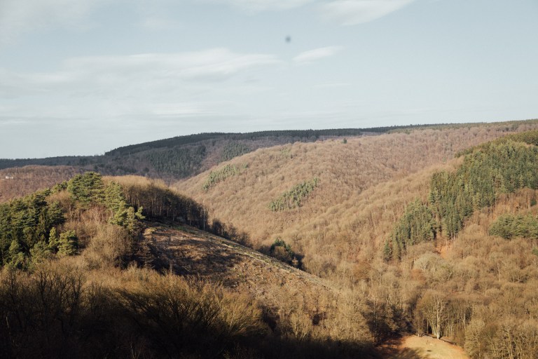 02152017 Belgium IV_7922