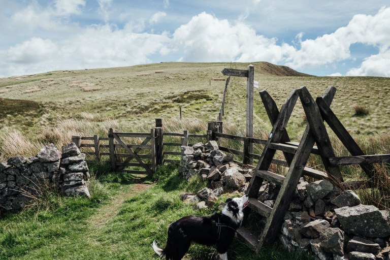 06092017 UK Trip_7743