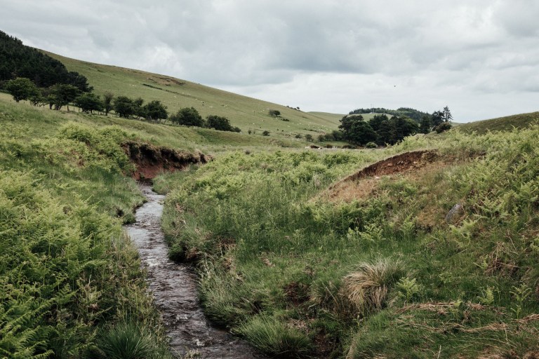 06092017 UK Trip_7816
