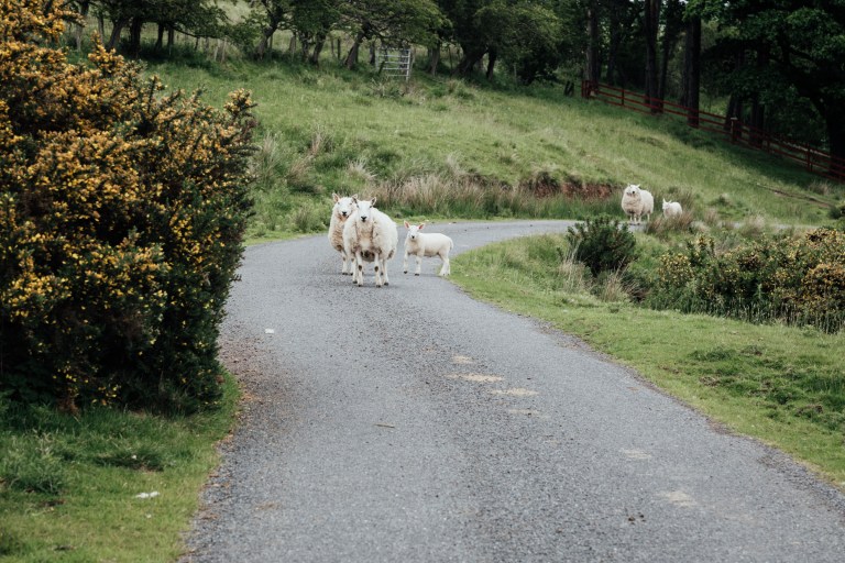 06092017 UK Trip_7822