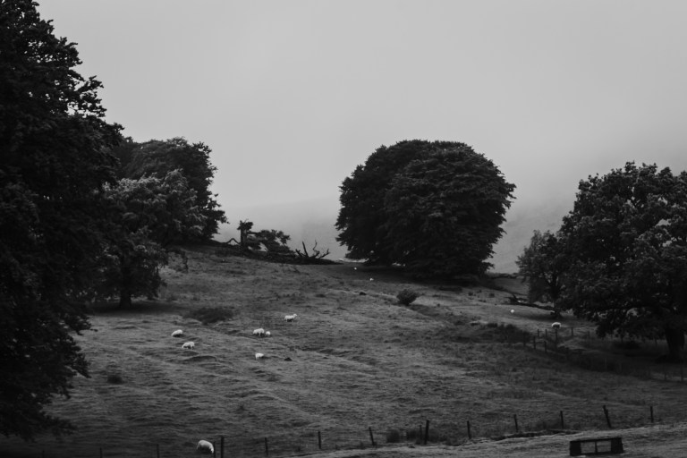 06102017 UK Trip_7911